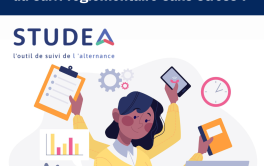 Suivi des alternants : quelles sont vos obligations réglementaires ?